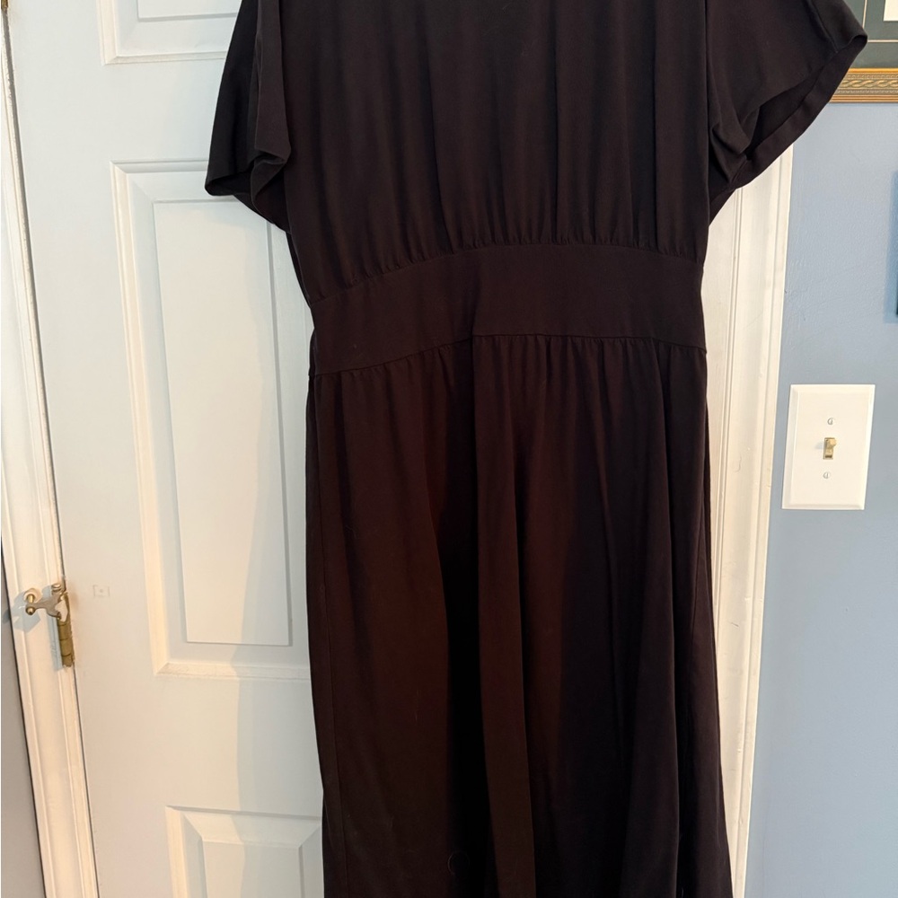 Everlane Organic Cotton Waisted Dress Black XL